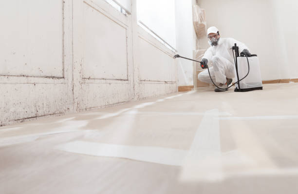 24/7 Emergency Mold Remediation experts in Bridgewater, NJ