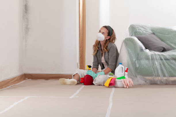 Reliable Mold Remediation contractor in Bridgewater, NJ by 24 Hour Mold Removal